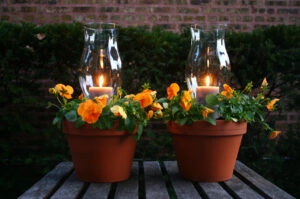 Flower pots with burning candles 