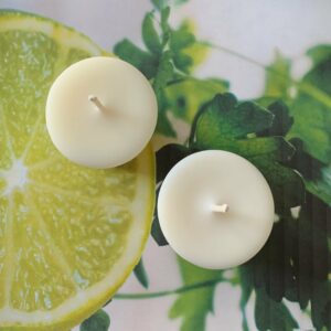 citrus summer candle scent 