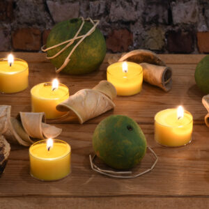 citronella scented tealight candles