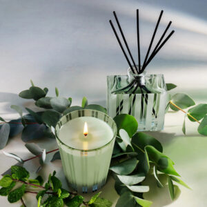 Eucalyptus spearmint bathroom candles 