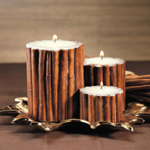 cinnamon stick pillar candle 
