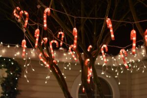 Hang red and white candy canes for Christmas decoration