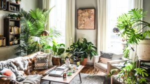 living room decoration with plants 