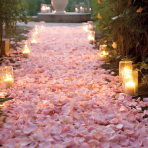 flower pathways with candles
